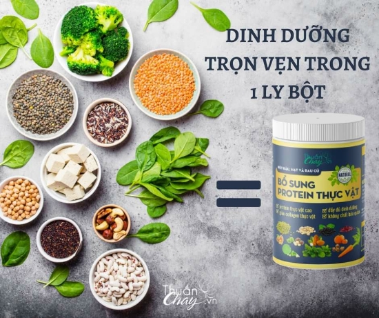 Picture of BỔ SUNG PROTEIN THỰC VẬT